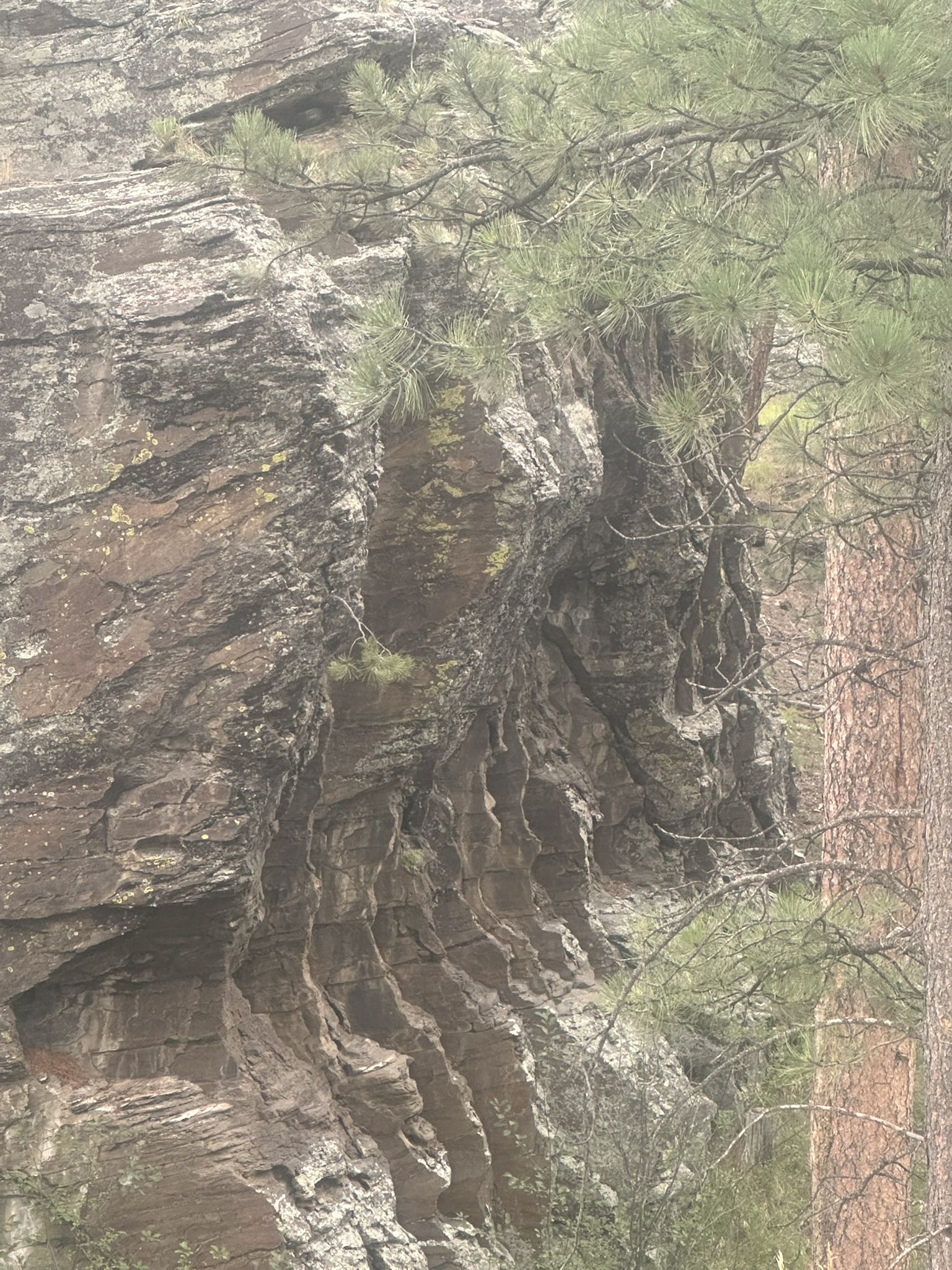 South Dakota - Image 234